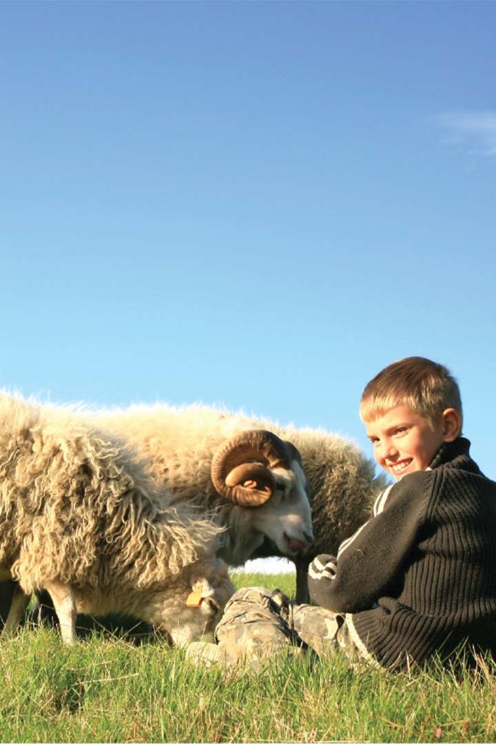 GAZA WAJIB QURBAN DONATION