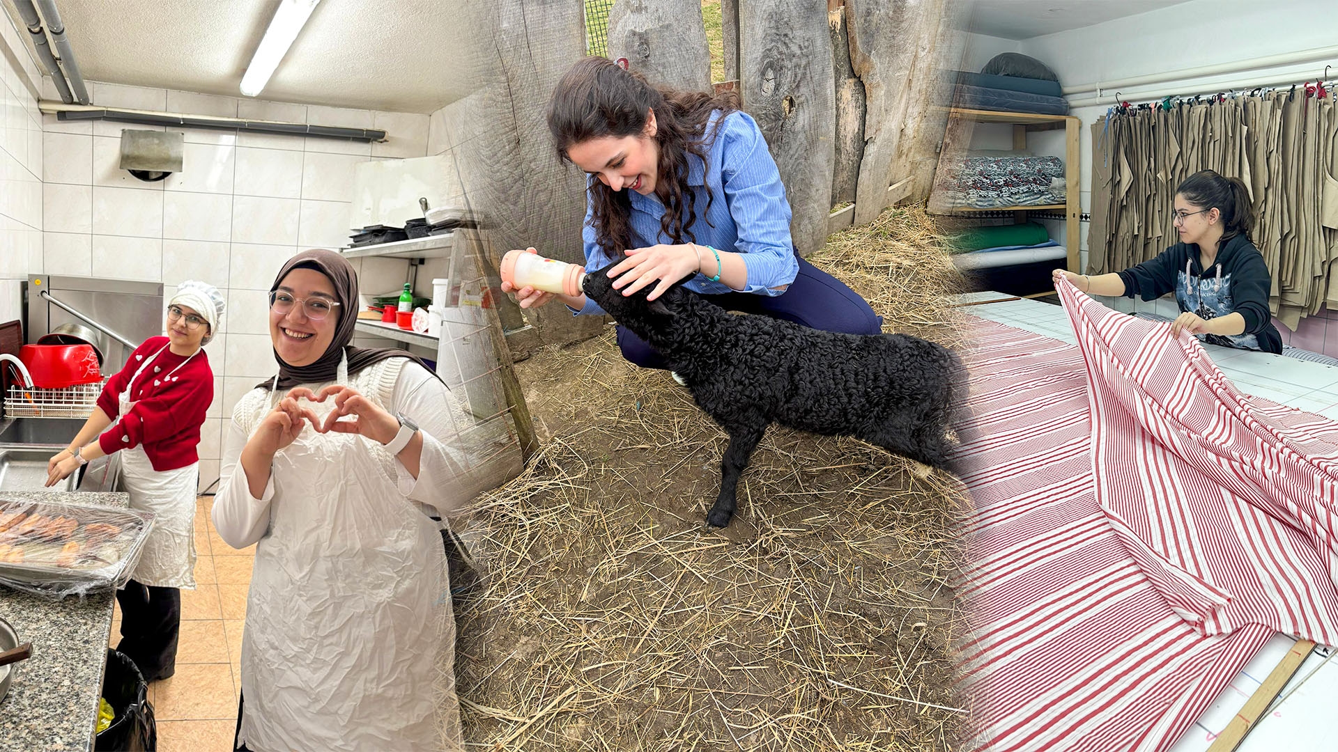 Volunteering Experience in Bosnia and Herzegovina Opens New Horizons for Youth